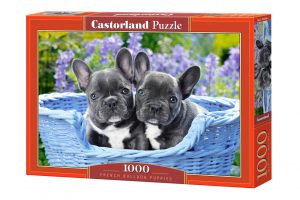 French Bulldog Puppies