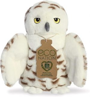 Eco Nation -  Schneeeule