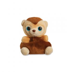 Roodee Kapuzineräffchen