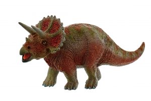 Medium Triceratops ML