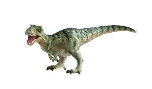 Medium Tyrannosaurus ML