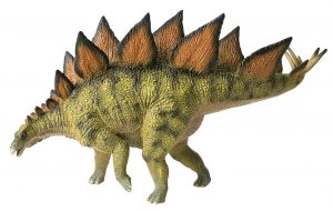 Stegosaurus Museum Line