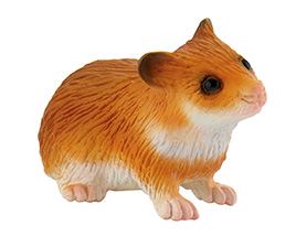 Hamster