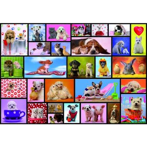 EDUCA Shared Moments, 1000 Teile