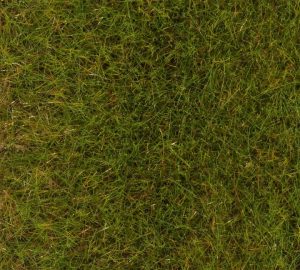 PREMIUM Streufasern Frühlings