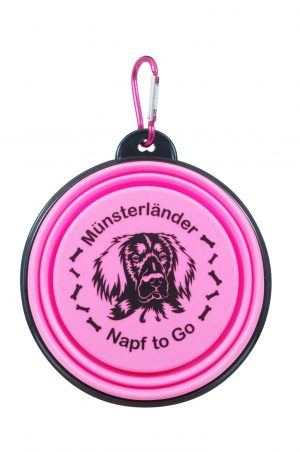 Napf to Go Münsterländer