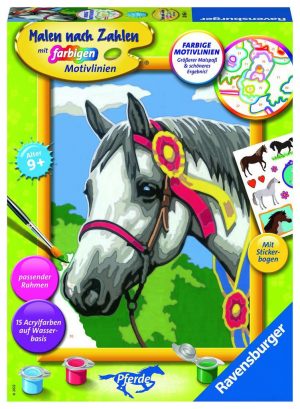 Stolzes Turnierpferd