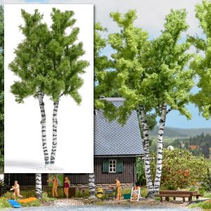 Doppelstammbirke H0 (165)