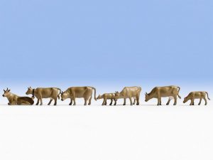 N Kühe, dunkelbraun