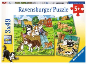 Süße Katzen und Hunde