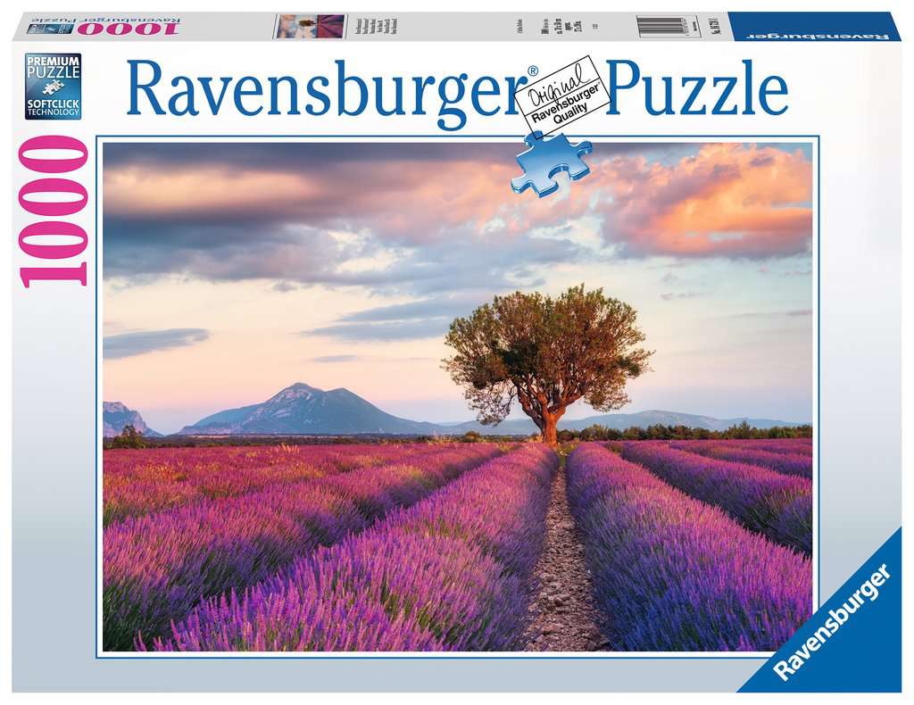 Lavendelfeld in der goldenen Stunde
