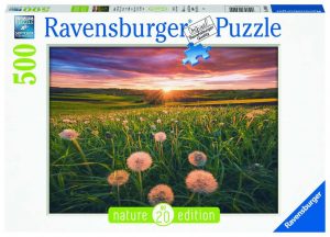 Pusteblumen im Sonnenuntergang