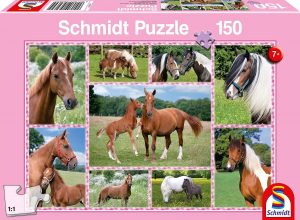 KIPU150T.Pferdeträume