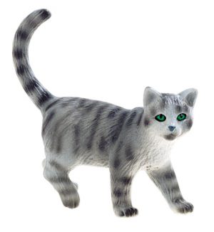 Karthaeuseserkatze Minka