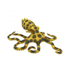 Blau-Ring Oktopus
