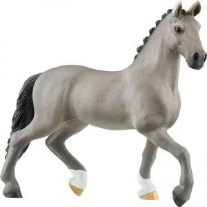 Cheval de Selle Francais Hengst (13956)