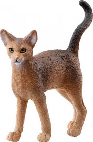 Abessinierkatze (13964)