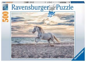 Pferd am Strand 