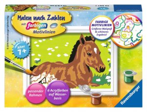 Kleines Fohlen