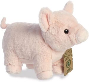 Eco Nation -  Schwein