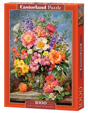 June Flowers in Radiance