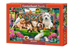 Pets in the Park