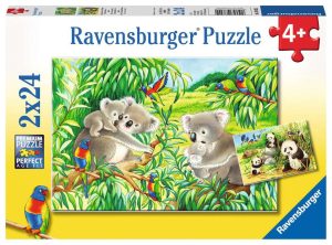 Süße Koalas und Pandas