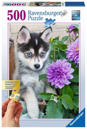 Putziger Husky