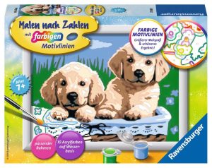 Süße Hundewelpen