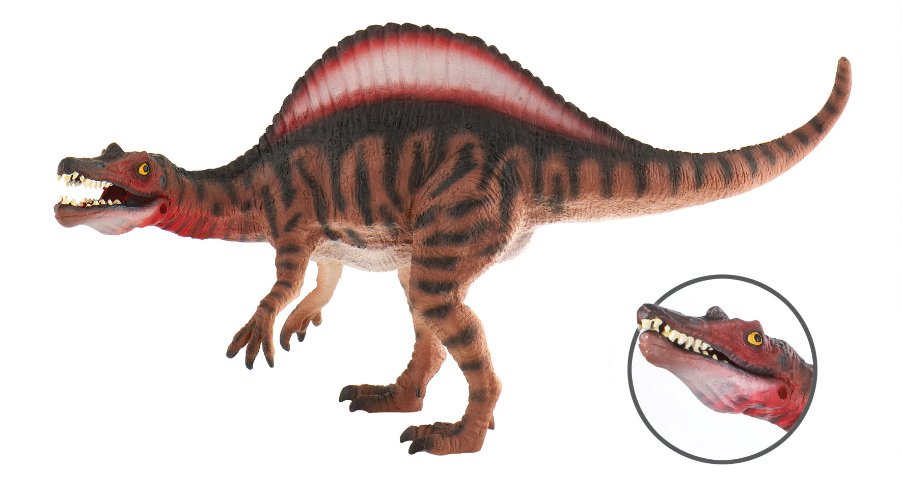 Spinosaurus Museum Line