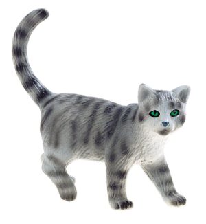 Karthaeuseserkatze Minka