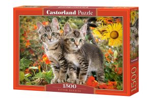 KITTEN BUDDIES, 1500 Teile